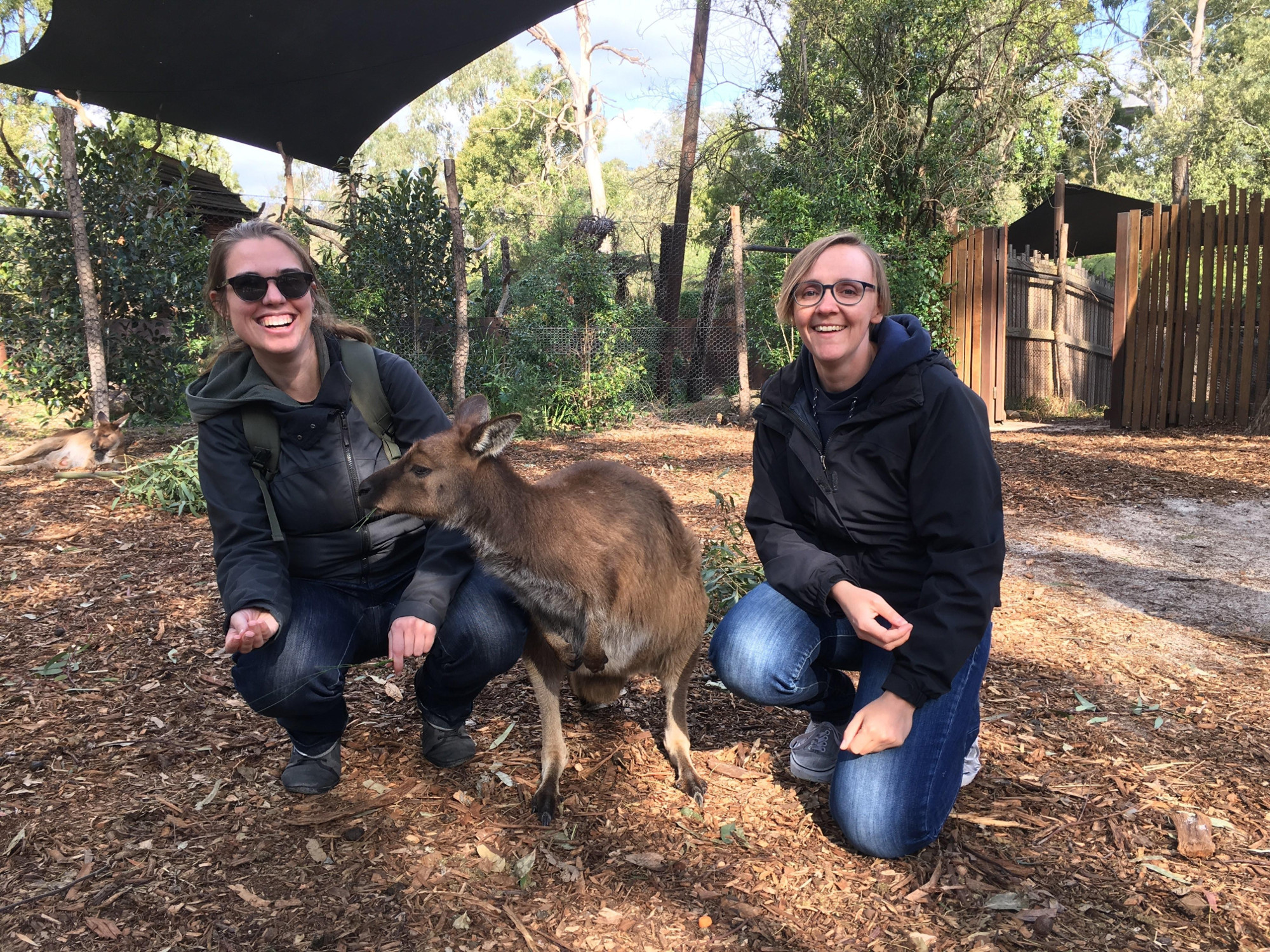 Erika, Kath, and a kangaroo